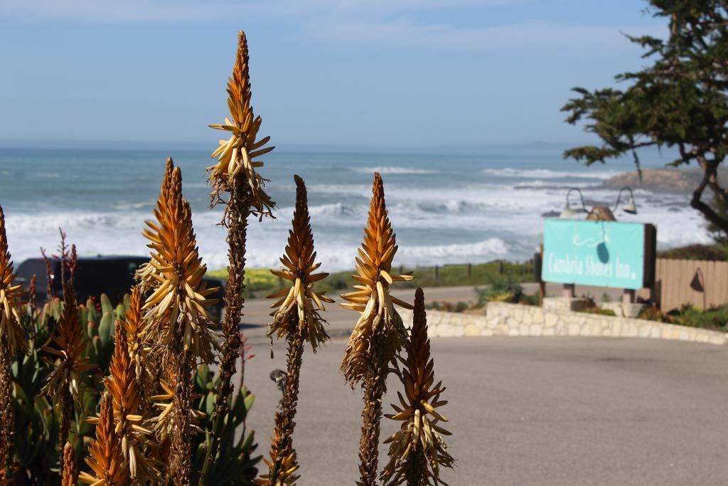 Hotel Shores Cambria