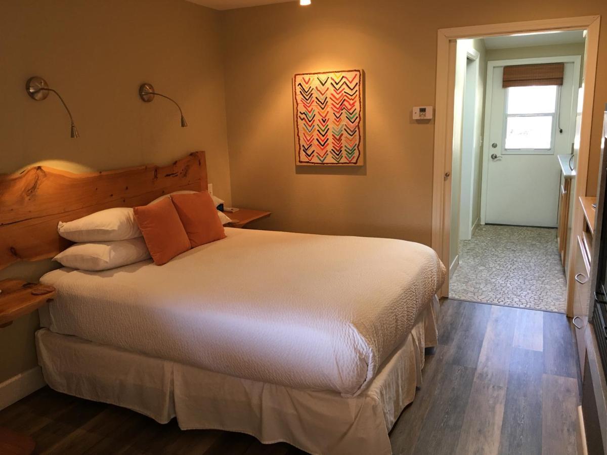 Shores Cambria